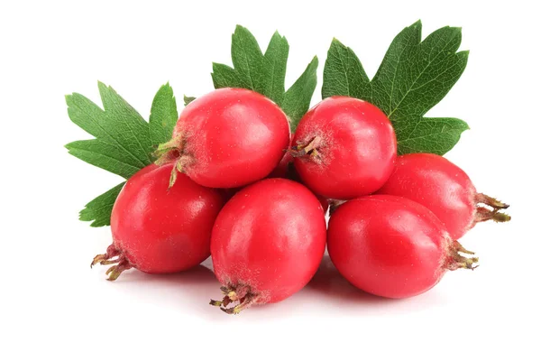 Hawthorn berry izole beyaz arka plan yakın çekim yaprak ile