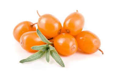 Deniz topalak. Beyaz arka plan makro'izole yaprakları ile taze olgun berry