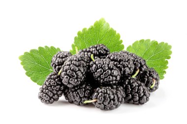 Beyaz arka planda yaprak izole edilmiş dut üzümü