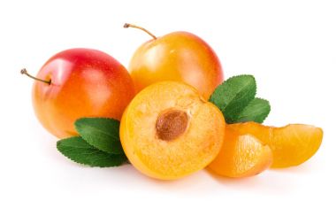 Sarı Erik ve yarım bırakır izole üzerinde beyaz arka plan