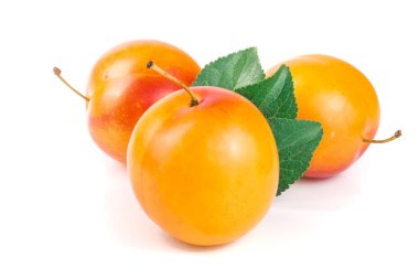 Beyaz arkaplanda yaprakları olan sarı erik