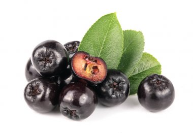 Chokeberry yaprak beyaz arka plan üzerinde izole. Siyah aronia çilek