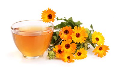 Calendula çay beyaz arka plan üzerinde izole taze çiçekler ile