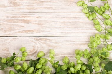 Beyaz ahşap zemin üzerinde taze yeşil hop külah. Bira üretimi için madde. Metniniz için kopya alanı ile Üstten Görünüm