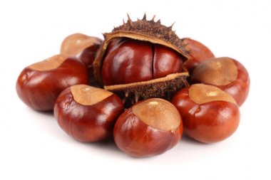 Beyaz arka plan closeup izole kestane