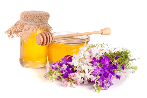 Csupor mézet, vadvirágok elszigetelt fehér background — Stock Fotó
