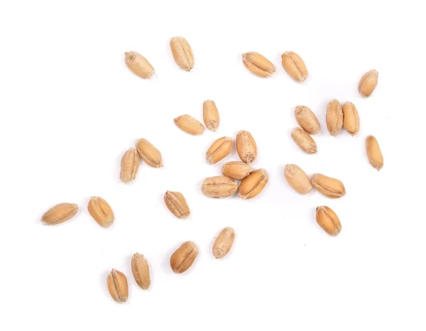Chicchi di grano isolati su fondo bianco. Vista dall'alto — Foto Stock