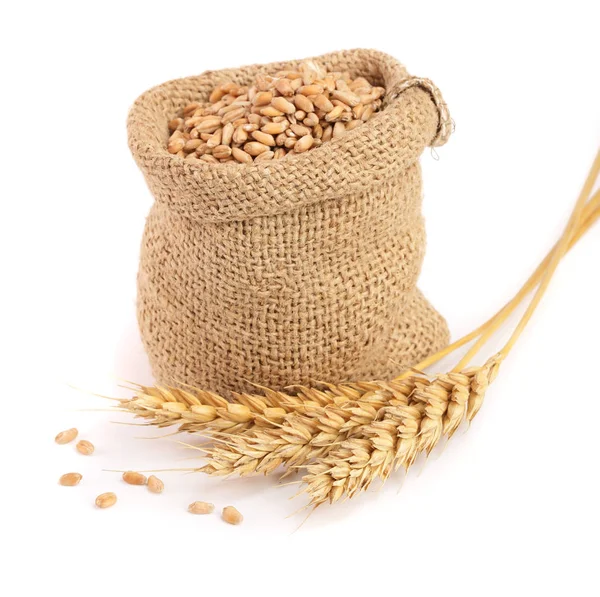 Wheat spike and wheat grain in burlap bag isolated on white background — Stock Photo, Image