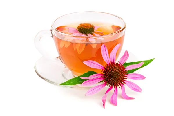 Echinacea thee geïsoleerd op een witte achtergrond. Medicinale thee — Stockfoto