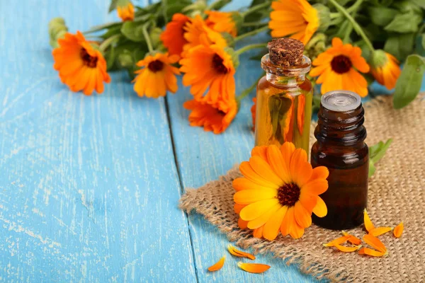aromaterapi Uçucu yağı ile taze kadife çiçeği çiçek mavi ahşap zemin üzerinde. Calendula petrol