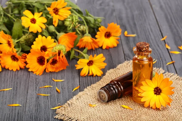 aromaterapi Uçucu yağı ile taze kadife çiçeği çiçek eski ahşap zemin üzerinde. Calendula petrol