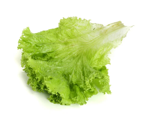 Friss saláta elszigetelt fehér background. Leveles saláta — Stock Fotó