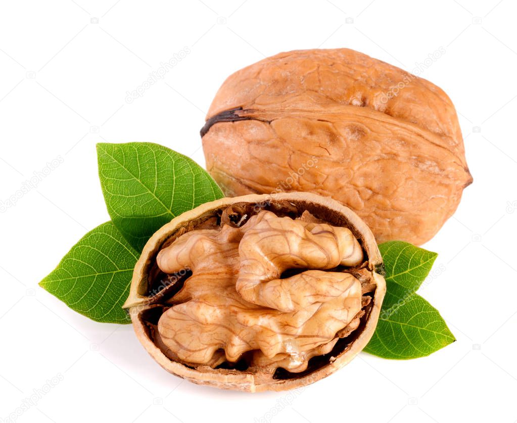Walnuts with leaf isolated on white background