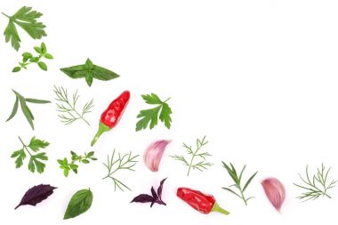 Taze baharat ve otlar beyaz arka plan üzerinde izole. Dereotu maydanoz fesleğen kekik biber peppercorns sarımsak. Üstten Görünüm