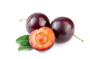 Mor Erik yarısı beyaz arka plan üzerinde izole yaprakları ile sona