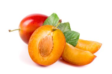 yarısı yaprakları ile beyaz arka plan üzerinde izole kırmızı Erik bitiş