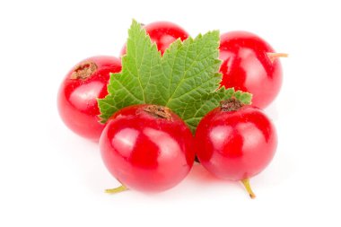 Beyaz arka planda yapraklı kırmızı frenk üzümü.