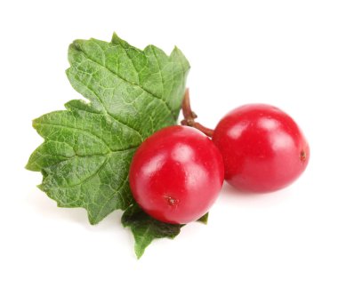 Kartopu çilek beyaz arka plan üzerinde izole yaprak ile