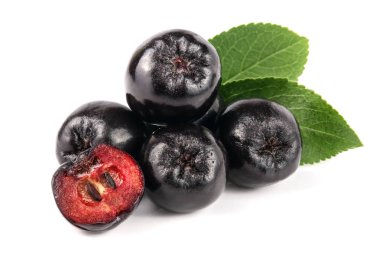 Chokeberry yaprak beyaz arka plan üzerinde izole. Siyah aronia çilek