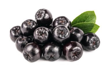 Chokeberry yaprak beyaz arka plan üzerinde izole. Siyah aronia çilek