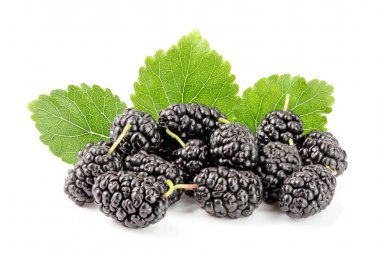 Beyaz arka planda yaprak izole edilmiş dut üzümü