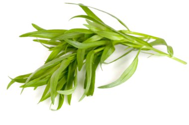 Beyaz bir arka plan üzerinde izole tarhun. Artemisia dracunculus