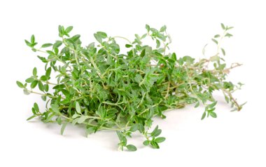 Beyaz arka plan üzerinde izole taze kekik baharat demeti