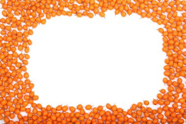 Deniz topalak. Çerçeve kopya alanı metniniz için beyaz zemin üzerine izole olgun taze çilek. Üstten Görünüm