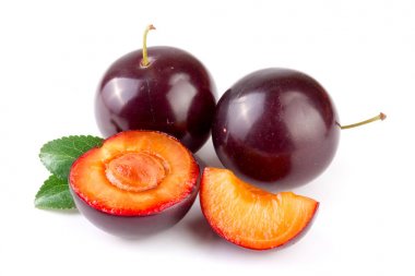 Mor Erik yarısı beyaz arka plan üzerinde izole yaprakları ile sona