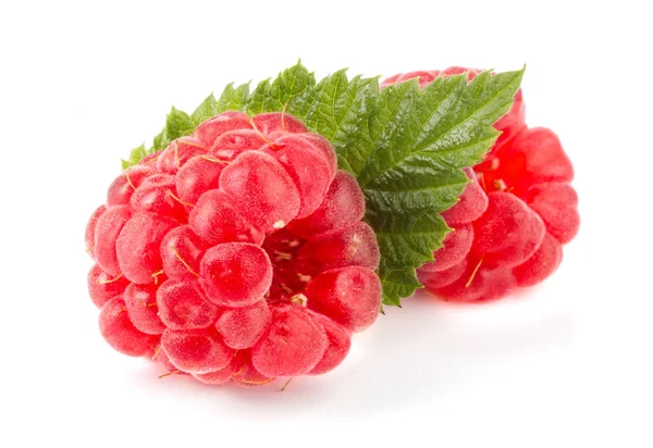 Two raspberries with leaf isolated on white background macro — Stock Photo, Image