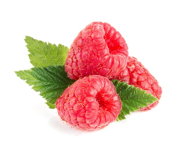 Himbeeren mit Blatt isoliert auf weißem Hintergrund Makro — Stockfoto