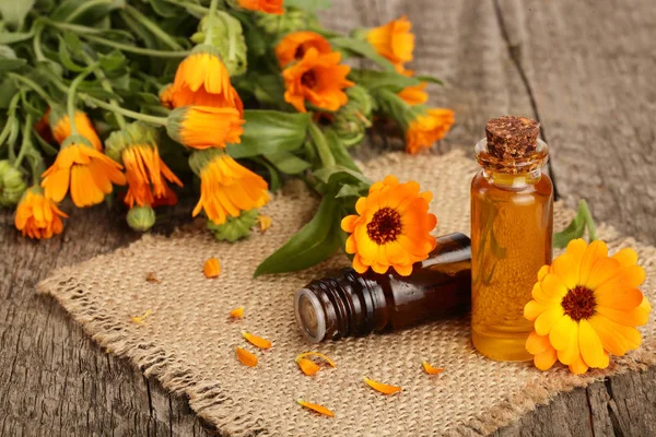 Aceite esencial de aromaterapia con flores frescas de caléndula sobre fondo de madera vieja. Aceite de caléndula —  Fotos de Stock