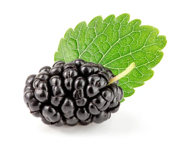 Beyaz arka planda yaprak izole edilmiş dut üzümü
