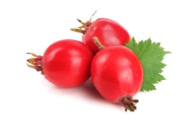 Hawthorn berry izole beyaz arka plan yakın çekim yaprak ile