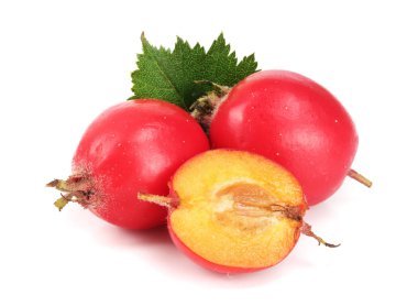 Hawthorn berry izole beyaz arka plan yakın çekim yaprak ile