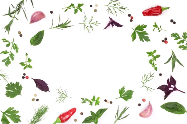 Taze baharat ve otlar izole kopya alanı metniniz için beyaz zemin üzerine çerçeve. Dereotu maydanoz fesleğen. Üstten Görünüm