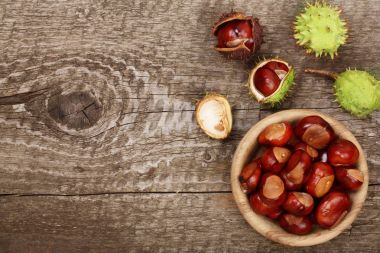 kestane kase kopya alanı metniniz için eski ahşap zemin üzerine. Üstten Görünüm