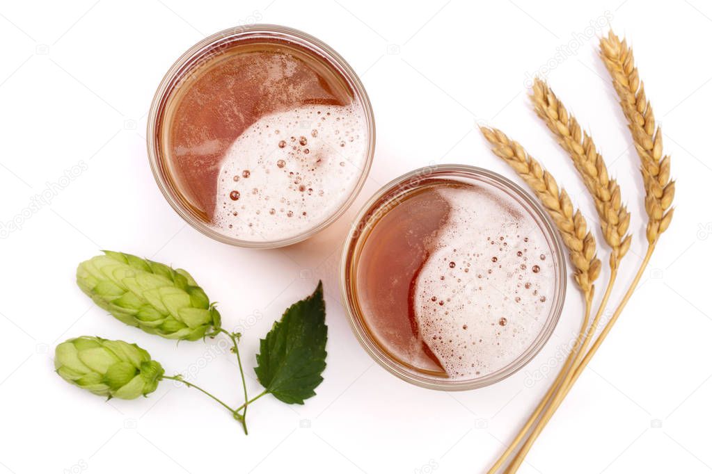 glass of foamy beer with hop cones and wheat isolated on white background. Top view
