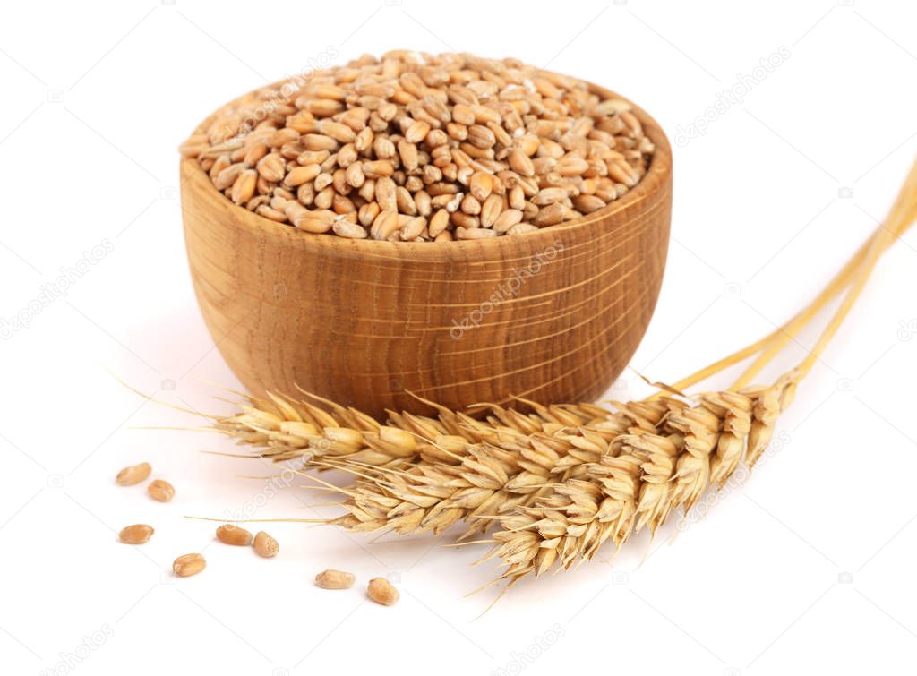 wheat spike and wheat grain in a wooden bowl isolated on white background