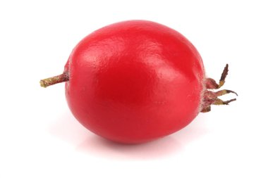 Beyaz arka plan yakın çekim izole hawthorn berry