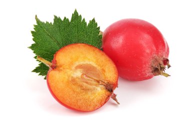 Hawthorn berry izole beyaz arka plan yakın çekim yaprak ile