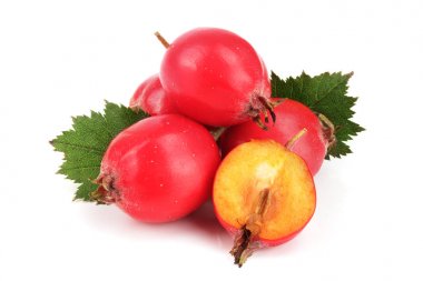 Hawthorn berry izole beyaz arka plan yakın çekim yaprak ile