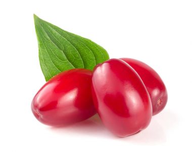 Beyaz arka plan üzerinde izole yaprak ile kızılcık berry