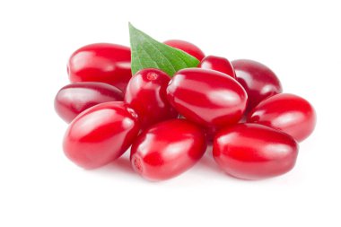 Beyaz arka plan üzerinde izole yaprak ile kızılcık berry