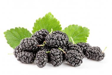 Beyaz arka planda yaprak izole edilmiş dut üzümü