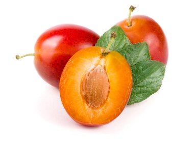Kırmızı Erik yarısı beyaz arka plan üzerinde izole yaprakları ile sona