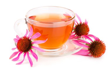 Beyaz arka plan üzerinde izole Ekinezya çayı. Şifalı çay