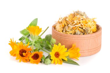 Beyaz arka plan üzerinde izole bir ahşap kase taze ve kuru calendula çiçeklenir. Kadife çiçeği