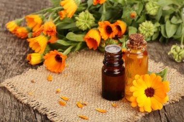 aromaterapi Uçucu yağı ile taze kadife çiçeği çiçek eski ahşap zemin üzerinde. Calendula petrol