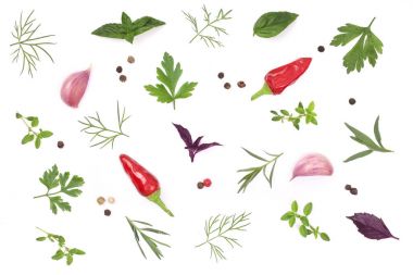 Taze baharat ve otlar beyaz arka plan üzerinde izole. Dereotu maydanoz fesleğen kekik biber peppercorns sarımsak. Üstten Görünüm